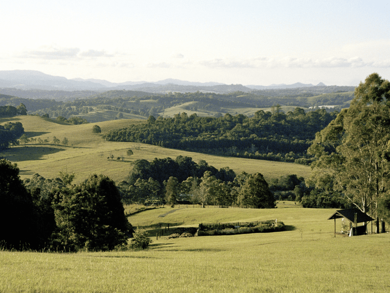 northern rivers hinterland
